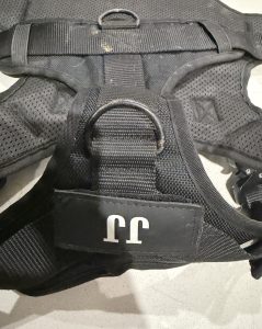Welded D-ring seated in layered reinforced webbing on a dog harness
