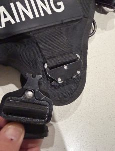 Metal quick release buckle riveted to reinforce webbing on a Bad Pets tactical dog harness